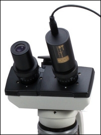 Microscope & camera